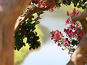금시당2, 혜산서원