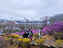 이명희의 진달레 동산..