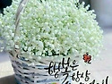 2026년 5월29일 금요일