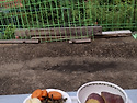 소박한 시골 아침 ㅡ