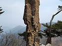성공은 머릿속이아닌,한 걸음과 한 걸은 사이에 있다