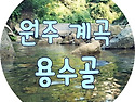 정기산행 99차 원주 백운산..