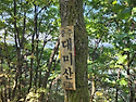 제118차 (충주)악어봉 정..