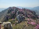 제115차 정기산행 (강진)..
