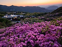 황매산 일출