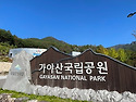 (99회) 5월 가야산 산행
