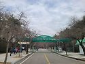 3월30일 인천대공원 걷기