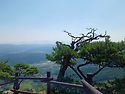 대성산 , 둔철산