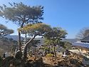 금강사 (공주)