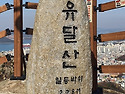 서산갯마을산악회, 8. 8(토)~9(일) 유달산 야간산행 & 목포 여행 & 맛집 탐방