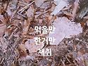보라싸리버섯 식용버섯산행