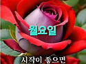 해피데이