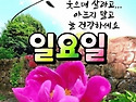 오늘의운세 - 11월17일