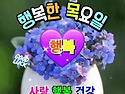 오늘의운세 - 5월15일
