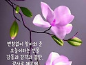오늘의운세 - 5월6일