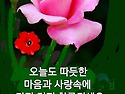 오늘의운세 - 5월22일