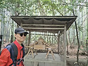 교토 오사카 2일차