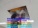 서울시 영등포구 신길동 엘지 휘센 공기청정키트 천장형 시스템에어컨, 냉난방기 청소, 세척 10...