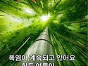 8월11일 화요일 오늘의 책..