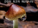 9월30일 월요일 오늘의 책..