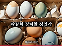 [미너비니 원칙 5]투자 초..