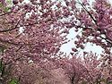 4/23 정기산행