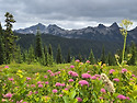 Reflection lake - Skyline -..