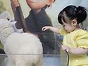 아기🐑5월 쥬