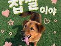 똘똘스 찹쌀이😃