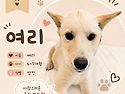 여리여리한 여리!😊