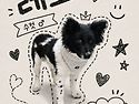 🩶카리스마 레오🩶
