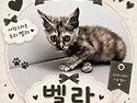 벨라가족 찾아요~~~~..