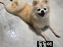 손이면손~!빵이면빵~! 둥..