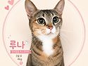 사랑스러운 고양이 루나&..
