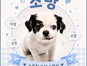 소중한 소망이🐶