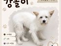 우리 강돌이 🐶