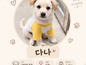 두나남매 다나🐶