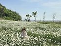 [번개후기] 5월17일(일)..
