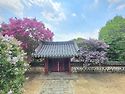 8월1일- 논산 배롱투어 4..