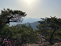 뒤늦은 아차산 등산 후기
