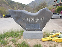26년 8월 6일 제969차 빛고을새즈믄산악회 정기산행안내 자지산(467m),부엉산(422m)&월영산출렁..