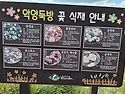 여항산&낙양생태공원(함안..