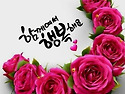 2026년 10월 29일 제975차 빛고을새즈믄산악회 정기산행안내 개도(蓋島)봉화산(338m),천재봉(..