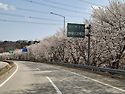천주산(창원시)