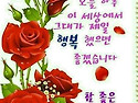 🌺🍒 모든 일에 감사하라