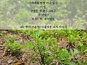 회사 인근 점심 산책하다가..