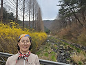 성주산(박태길 작가님)