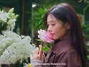 점심응원