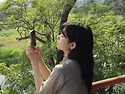 아침응원