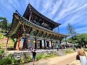 유구색동수국정원&공주역사탐방